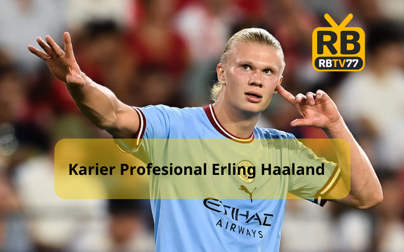 Karier Profesional Erling Haaland